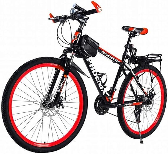 Bicicleta de Montaña